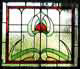 tulip window